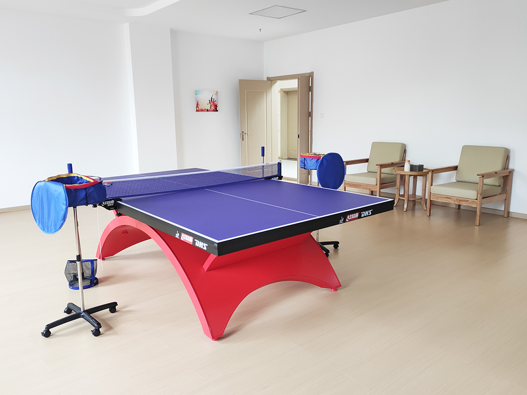 乒（pīng）乓（pāng）球台